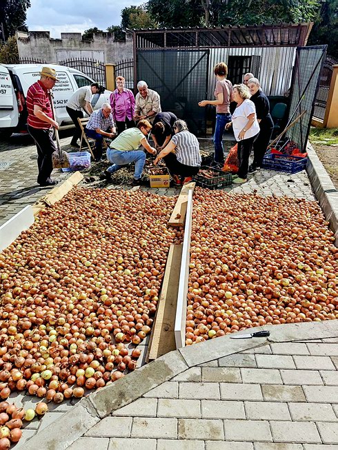 activități la Centrul caritabil „Pâinea Sf. Anton de Padova” din Galați