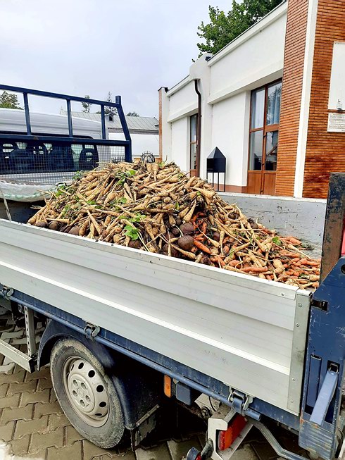 activități la Centrul caritabil „Pâinea Sf. Anton de Padova” din Galați